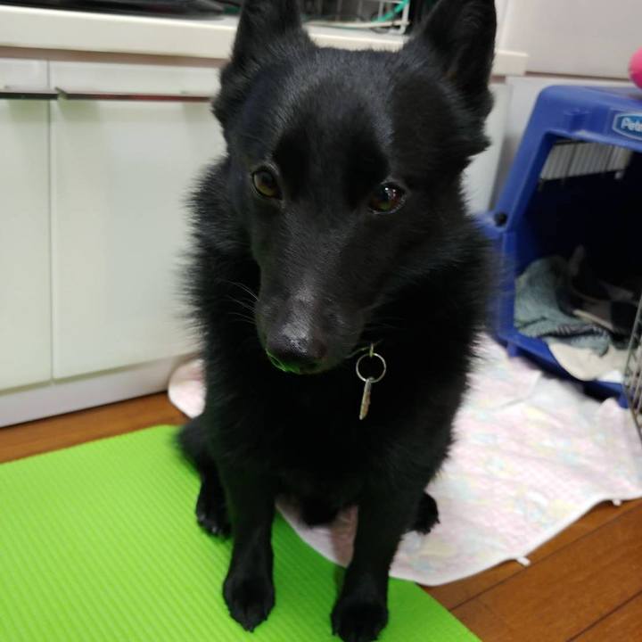 94663b16 dca3 4947 b91f 9c3ed8d48c42 1589945445858