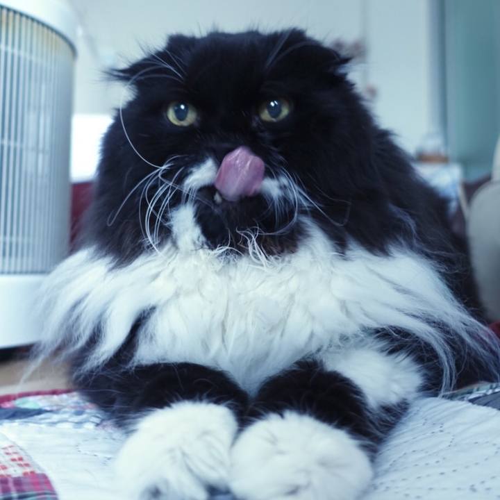 94663d60 248a 43ae aed3 a24be7a73e4b 1557411162930