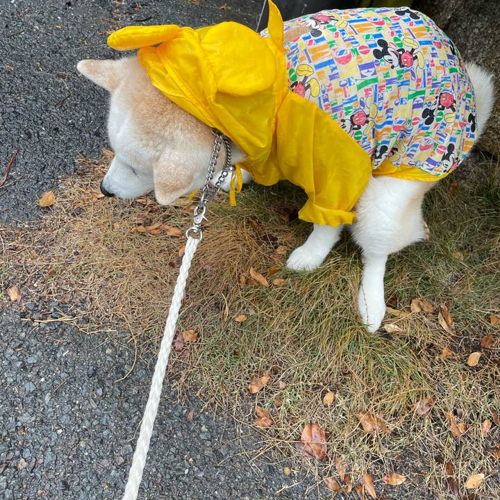 94666b57 fc6a 45a8 b70b cabcfc7b6692 1681545008308