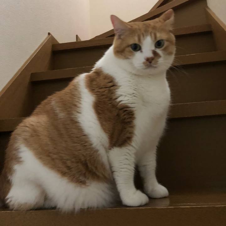 94667459 51f2 4324 9862 0cc062b09481 1559027540576