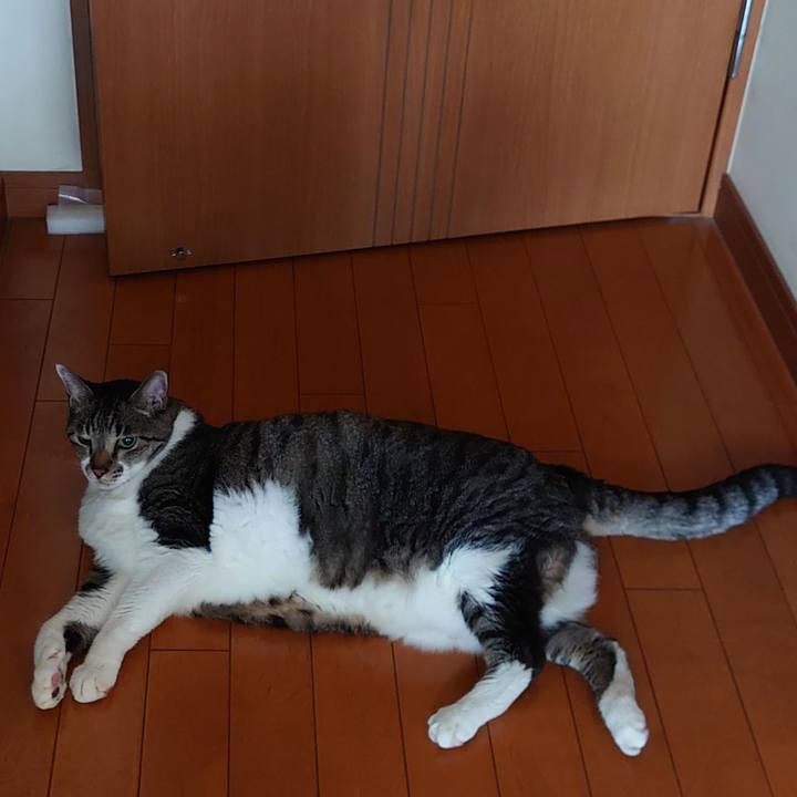 94667b73 9bed 443d b1b0 0cb898296f38 1725501965249