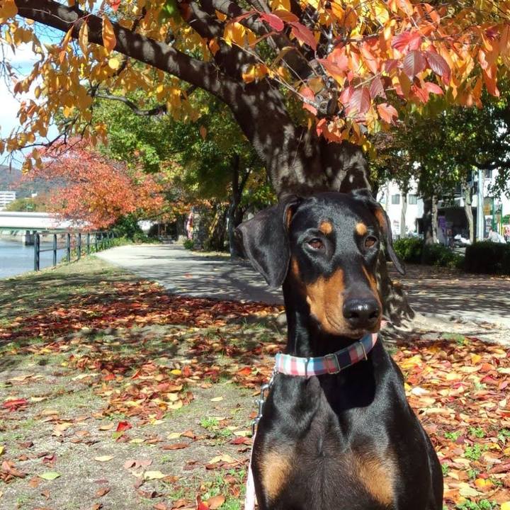 94668dee 699d 4ba0 92d4 e8d8c6c61f76 1764136912106