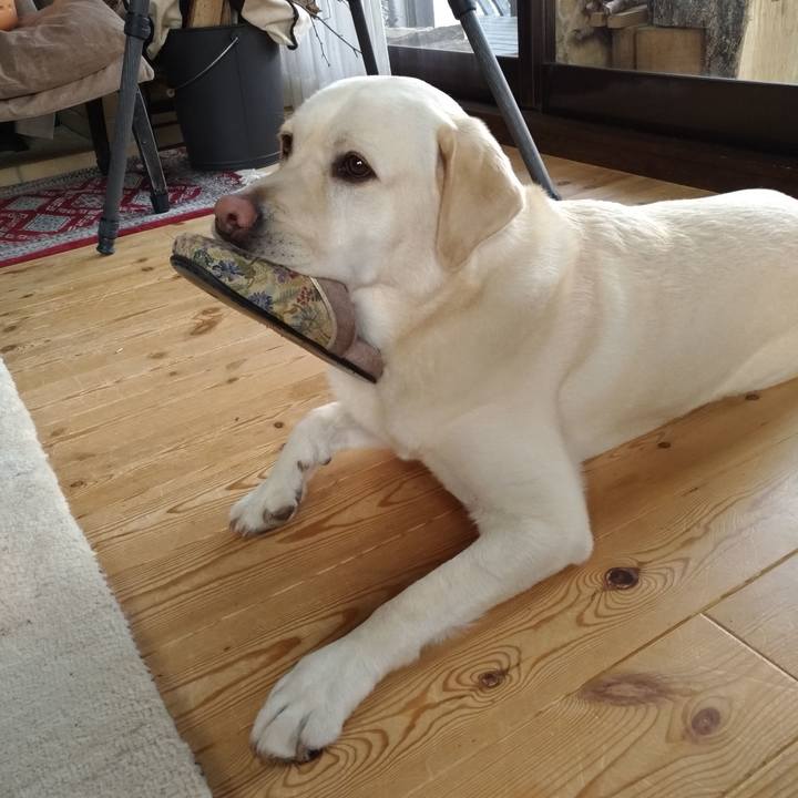 94668ed4 09af 493f b7dc aebe6f4d764f 1556870485906