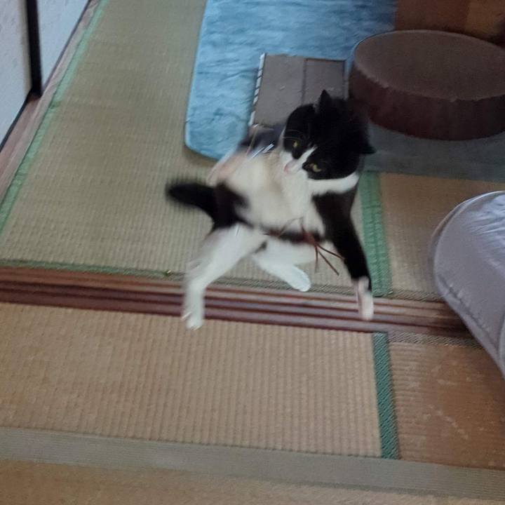 9466a799 d93a 42af be6a 9712c1b2ff2d 1763356839365