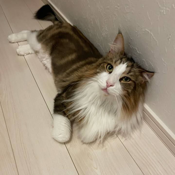 9466db72 4a48 4f64 afba 53a235b5c61c 1691437723194