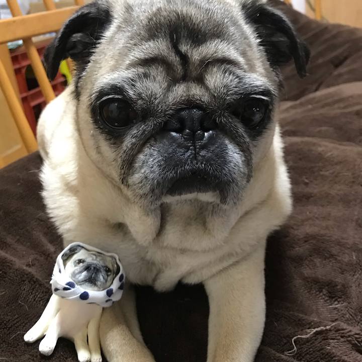 9466f27b 5701 40eb a992 c4cc2ac8be74 1553822280978