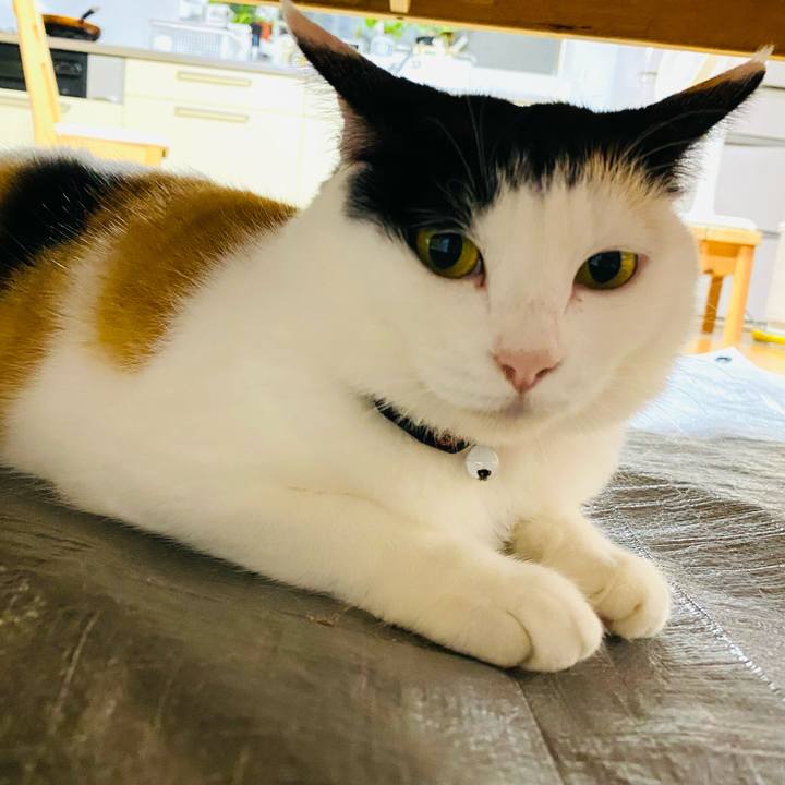 9467015f 62c5 44d8 952a 993f762ed9ff 1686608281111