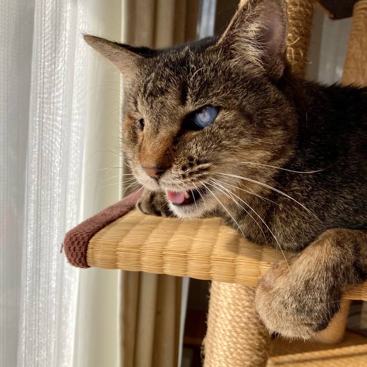 94674fef ac1d 461c 8883 1820a9dd8d1e 1674121187645