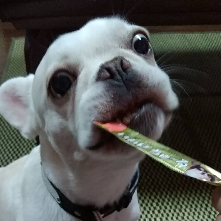 94675d23 b83c 4c89 a1d1 46d1a8136429 1594799902495