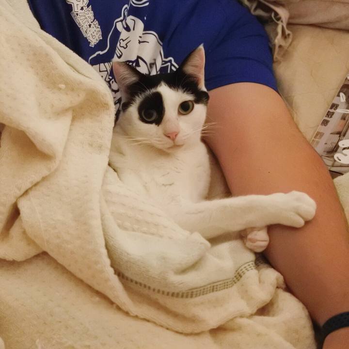 94678e5c ed31 47ee 9d78 97df4f2dac82 1571224134341