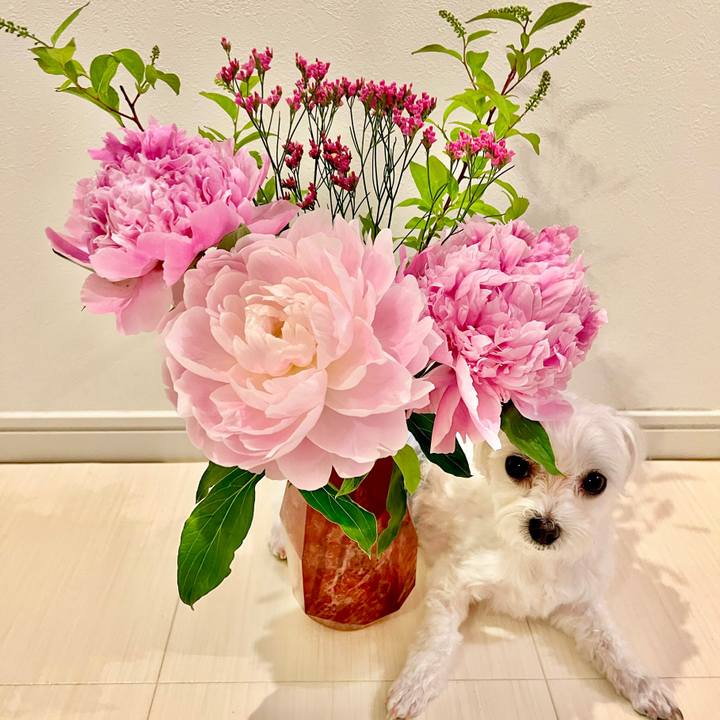 9467d037 ab6f 44c8 9706 afcae81e5c06 1653293484623