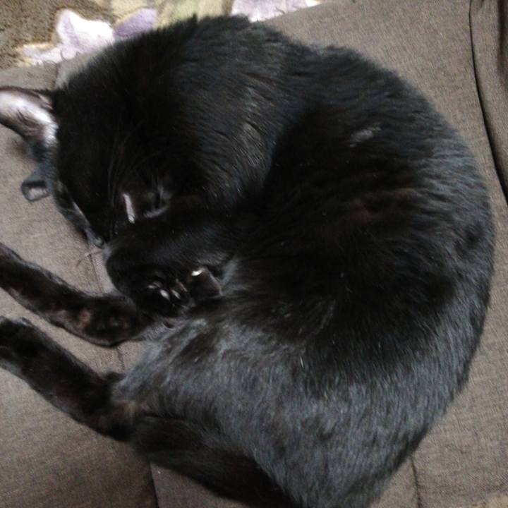 9467daee ac98 40b4 b33d 03f34abbb692 1619933518154