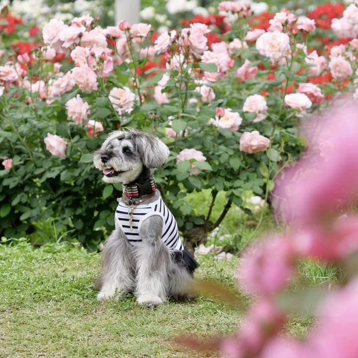 9467e7cf 2b05 462e a1cb 52740dd7715d 1715073964555