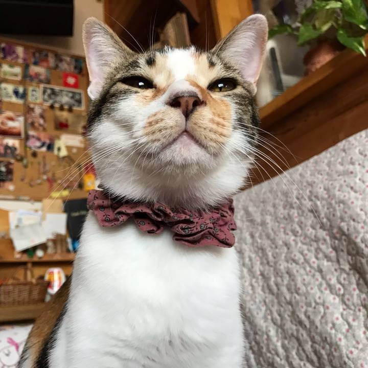 94681044 36fb 4e94 a4c4 53b0390aa763 1633669966784