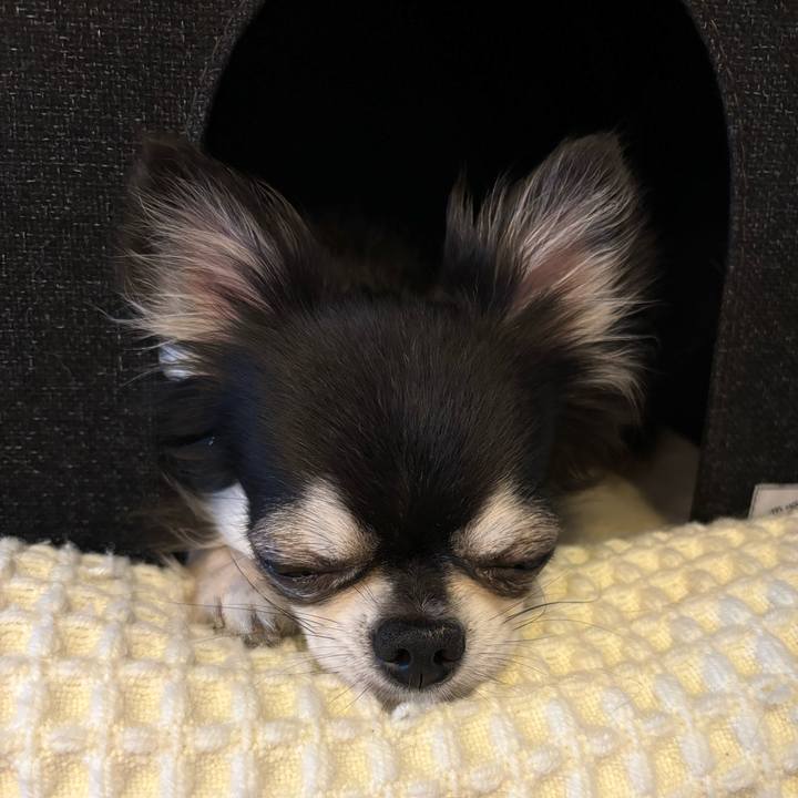 946823d1 8fcb 45d1 a374 7ce2c92f2dbb 1721597888321