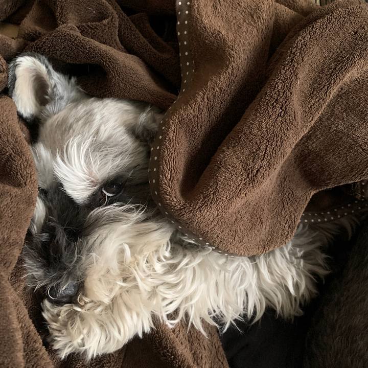 94682c65 01cc 4ed2 8e32 3c9fa2d9ae1f 1614393013313