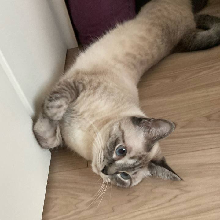 94684c3f 6fa5 4fed 8938 1f875a9d329c 1661501869472