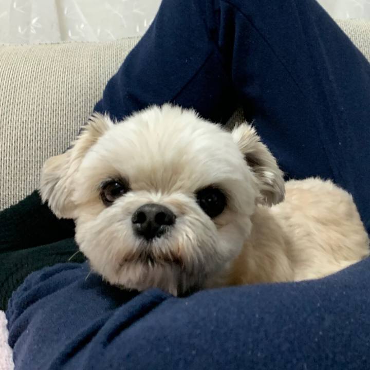 946862ce 756c 48ba 9766 8fa348c1c0ac 1580734795709