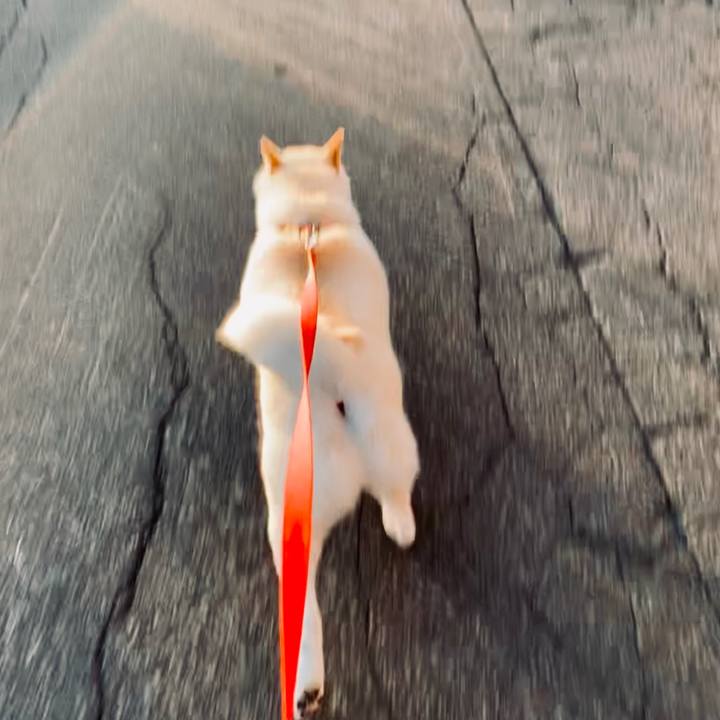 9468e773 39a5 4eb2 927d d06f70a19053 1567545607777