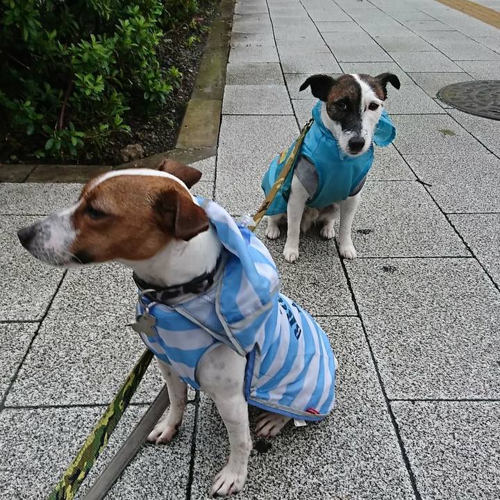 9468ef69 003b 461a 8cb0 5736307eb49a 1537482625173