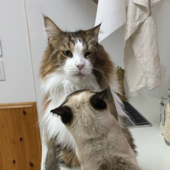 9468f097 3d2d 4e20 a25a 0a6146e42ec2 1731613772557