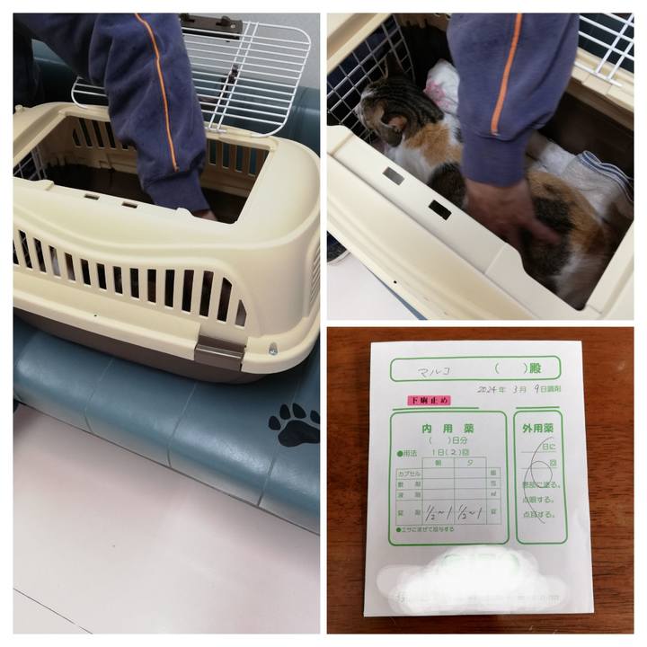 9469569a 6b4c 4f32 ad89 cc98e17d110a 1709978887004