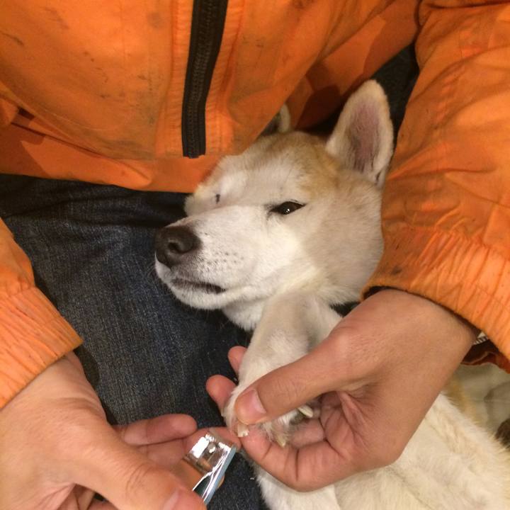 94697bc9 0a26 42d2 8006 78e8ccc54033 1580649639518