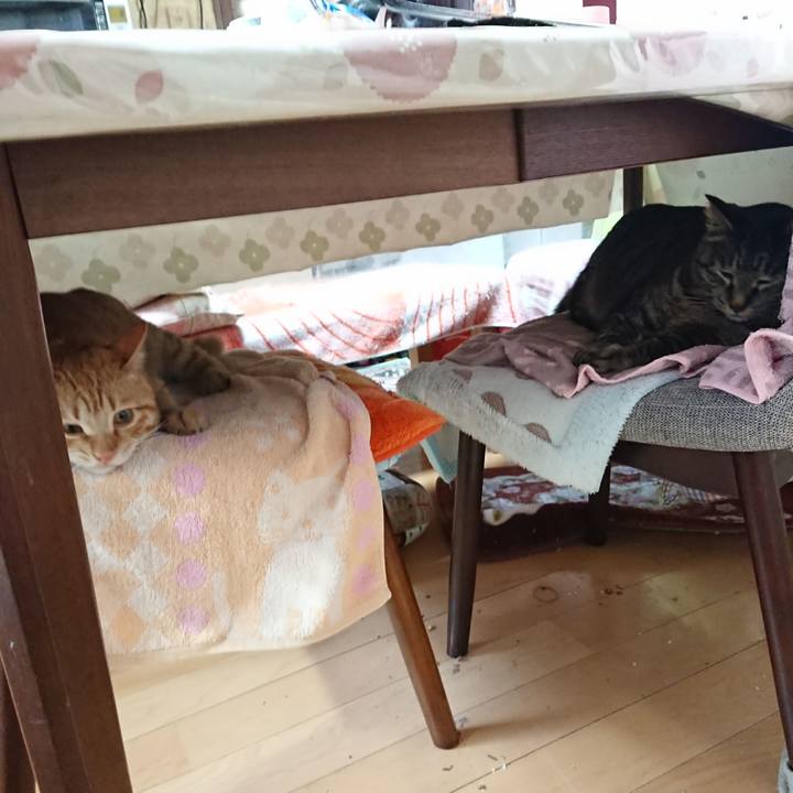 9469828d 7197 4dd1 b535 bb5e25d83c02 1648506536926