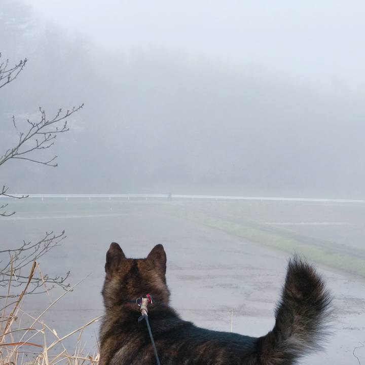 94698491 b20b 413e ab83 9f2ee223b902 1524090536794