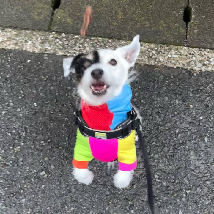 94699722 a45b 4e95 af0f 58b74965623f 1750809197554