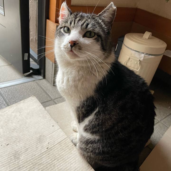 9469dacc 083b 44ed 9cec 65c7608b6b18 1651482081701