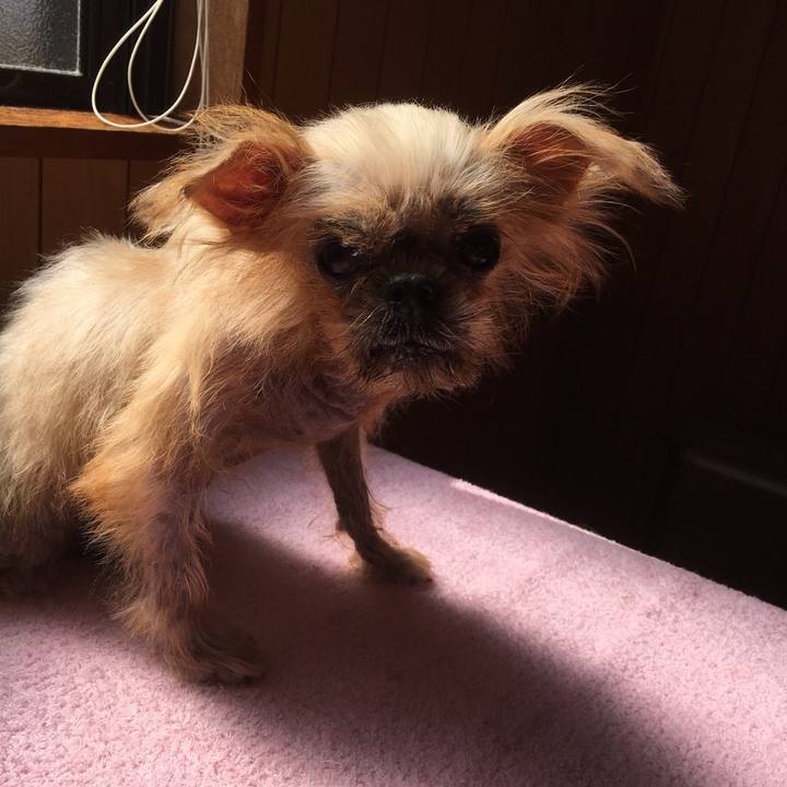 9469dfb2 3c94 44ae b08b 1bc17f8882bb 1540552565457