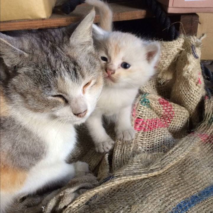 946a2870 0e6c 4bd1 9201 acbcbec8b3c5 1615640437062