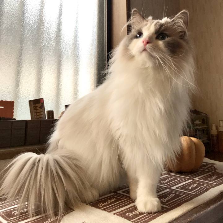 946a3749 a372 4d58 a38b 38cafec46735 1591257564674