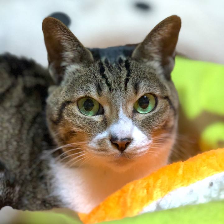 946a854c 6978 4fbb 99aa b085e122d048 1580865751930