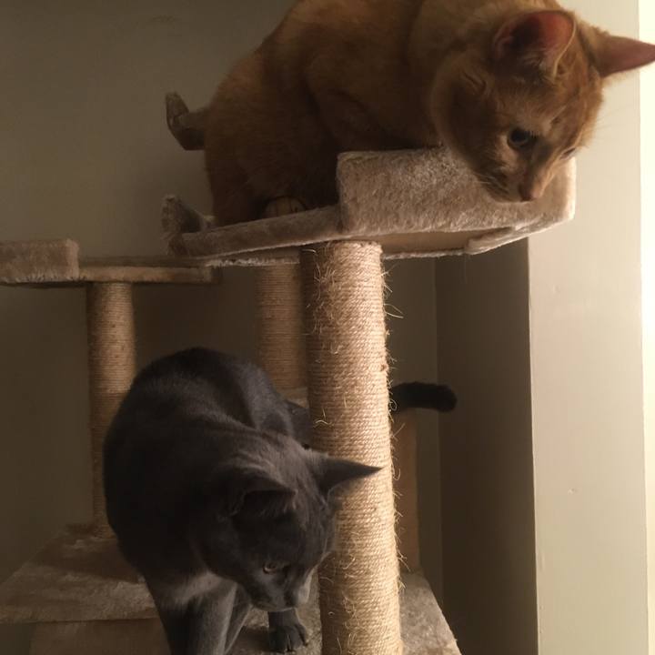 946a8999 1dc0 433d 815e ed237dcde8f9 1632962505035