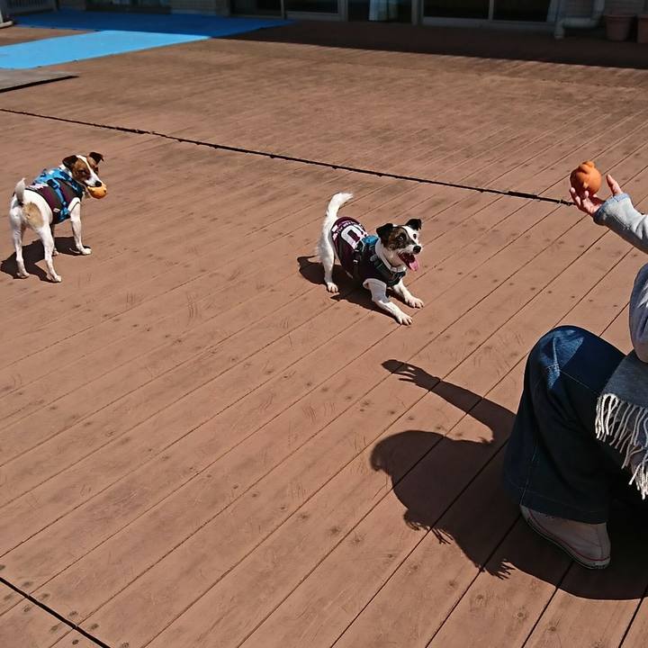 946abdd0 fa15 49c9 aea4 e22c7cd2057f 1585815859596