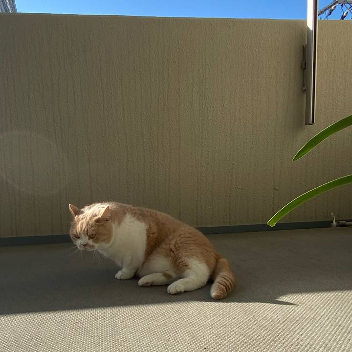 946ac3fb 2958 4104 8a47 82b704336e52 1669097332665