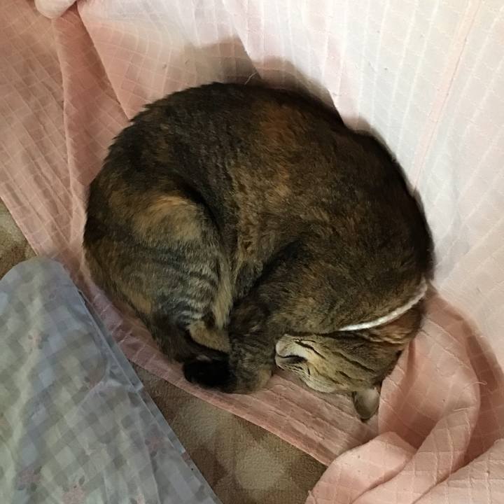 946ae9fb 6247 4465 81c9 7dcb28e4fdda 1739958339013