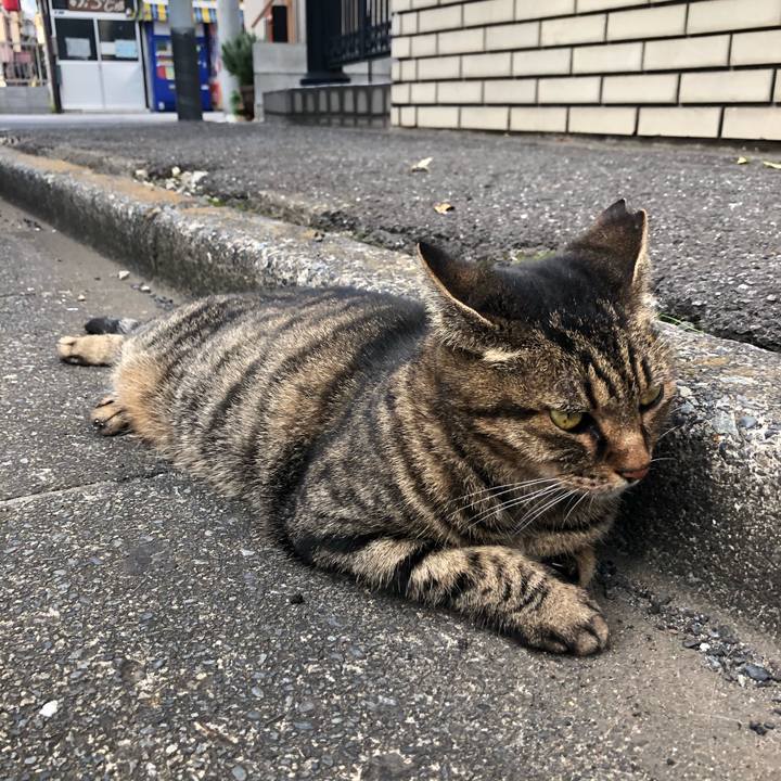 946b1b5f 5b78 40bf baac ab519c879902 1572731360801