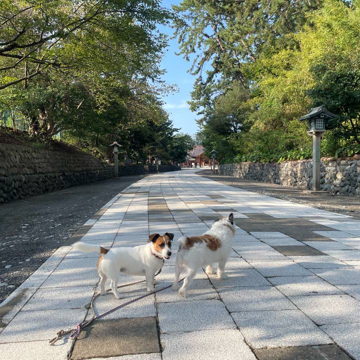 946b1c4f 7aaf 4a1c 88a5 f1580c931231 1694905724465