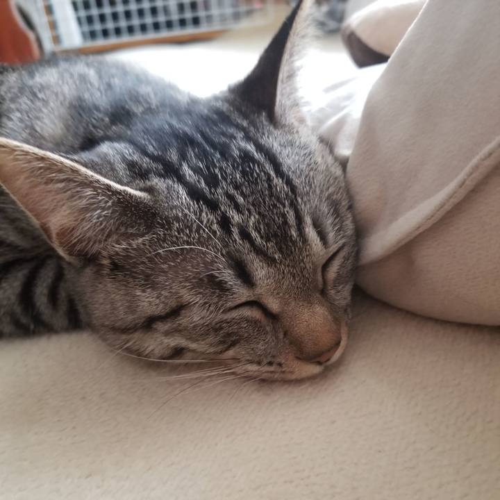 946b2e5f 157d 4789 a7a4 3e5bed0a5693 1674568785993