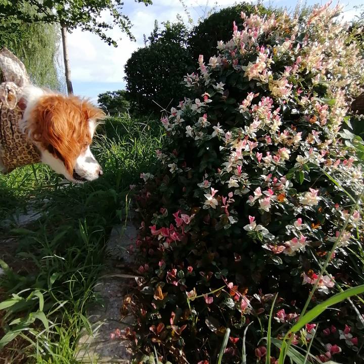 946b4b4f f2ce 4fa9 bde9 41fd79794466 1599477425990