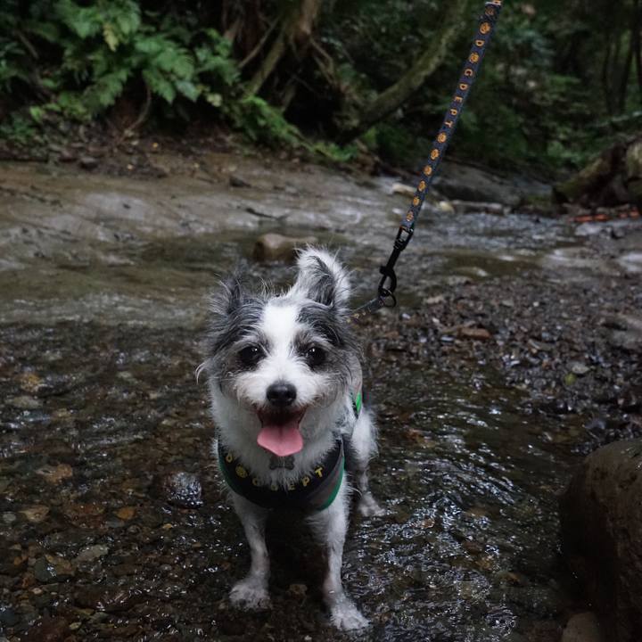 946b5792 828e 492c 945d 70a177c88bb1 1757849904242