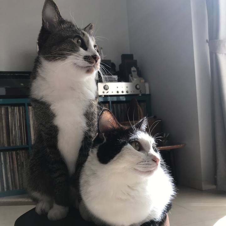 946b85c2 74c0 4408 ae85 c29dc412cfea 1572674029699