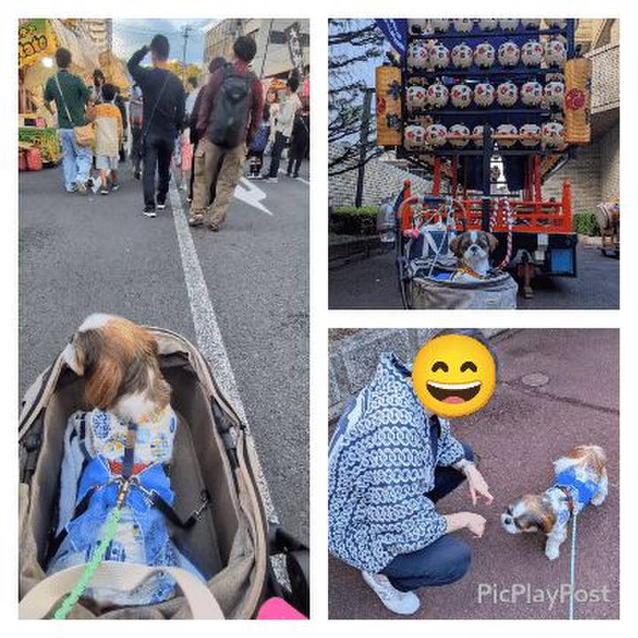 946bad87 4b76 49ae 87fa 610cabc54241 1760770651559