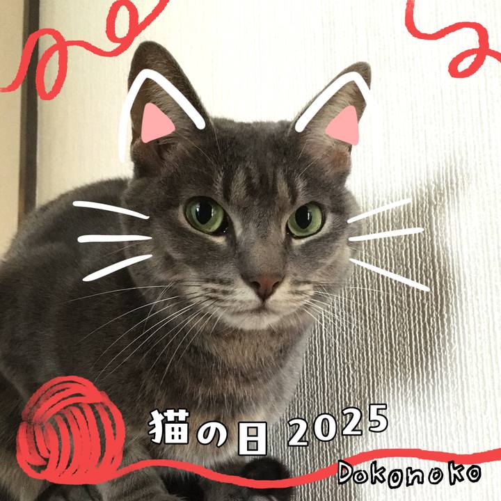 946bbfd6 e091 4ad2 9ae6 0f8196f9ef03 1740146616946