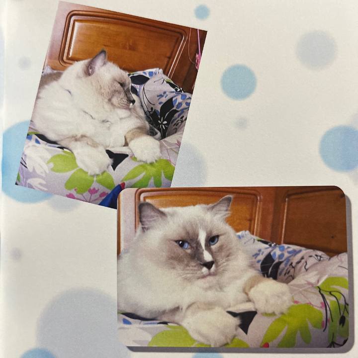 946bdf96 e4de 4abf a12a 953ec1b1cfca 1729769372564