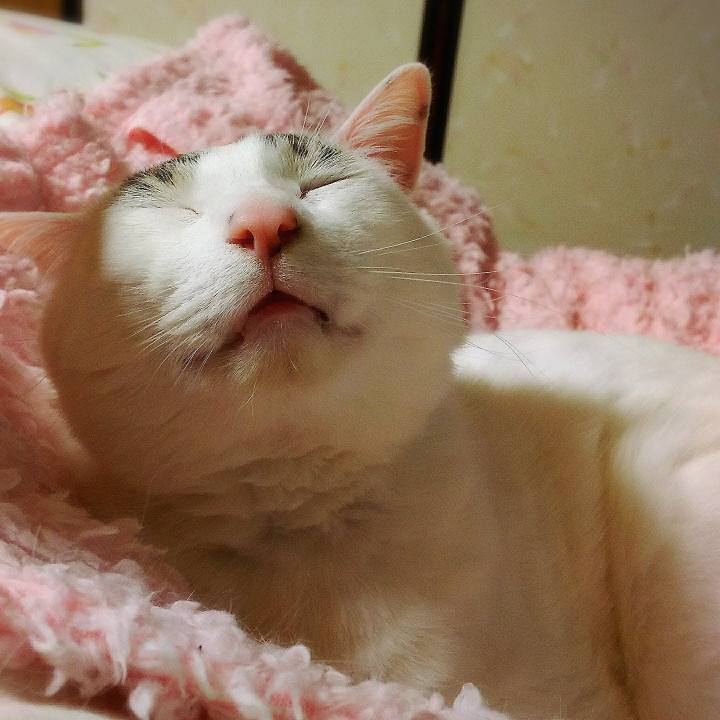 946bf472 8a35 4bf1 8d60 8e6a5a6fe787 1574002986094