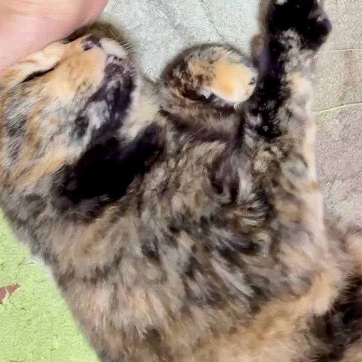 946c10f7 c561 49dc b22f e94a47fb1849 1751684082776